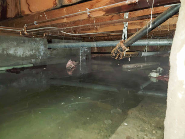 Best Ceiling water damage repair  in Lakeside Park, KY