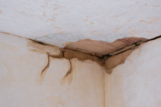 Trusted Lakeside Park, KY Water damage restoration Experts