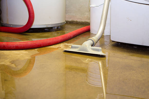 Best Flooded house restoration  in Lakeside Park, KY