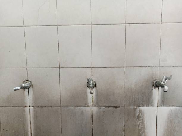 Best Fire Damage Restoration  in Lakeside Park, KY