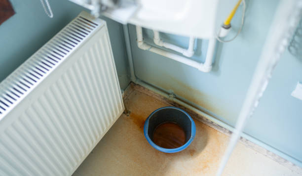 Best Mold removal after water damage  in Lakeside Park, KY