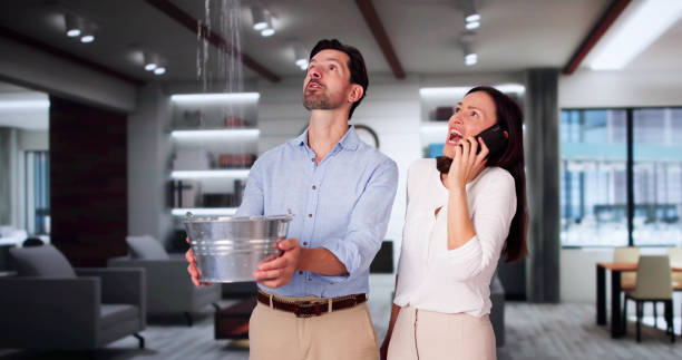 Best Professional water damage repair  in Lakeside Park, KY