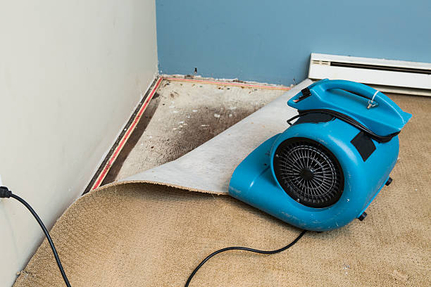 Best Carpet water damage restoration  in Lakeside Park, KY